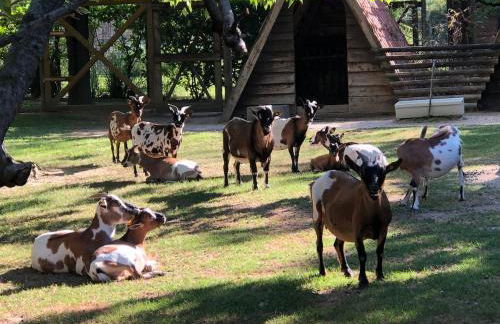 Vista mare a 10m dalla spiaggia, 8 piano e parcheggio privato - Foto 36