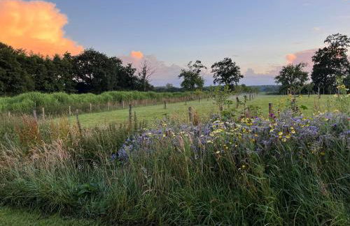 Cottage avec Piscine et Jacuzzi - Normandie - Foto 35