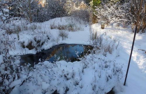 Villa-Hufeland - Foto 13