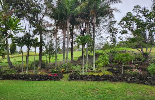 Hau' Oli' Io - Foto 35