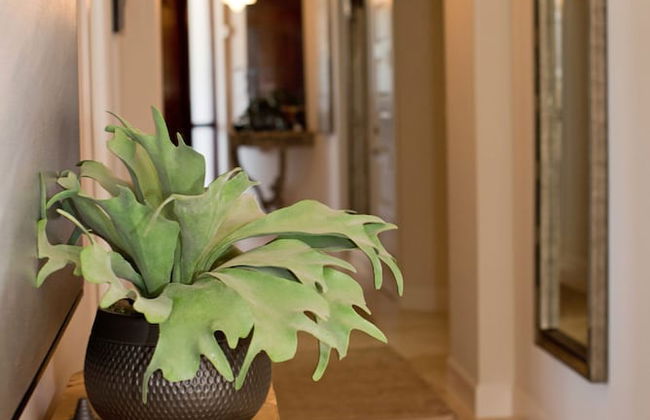 Seabreeze 8 - Luxury 4-bedroom on Seven Mile Beach - Photo 4