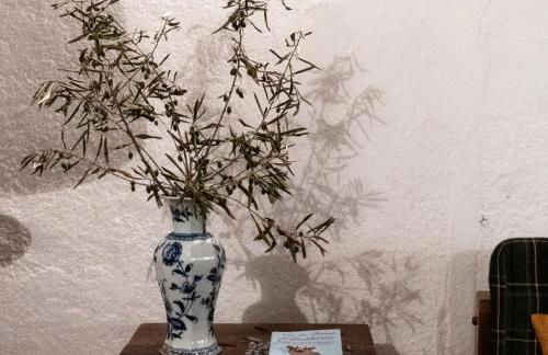 Monte das Oliveiras - Foto 14