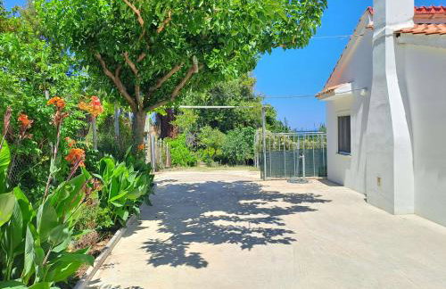 Beach House Kotrona - Photo 16