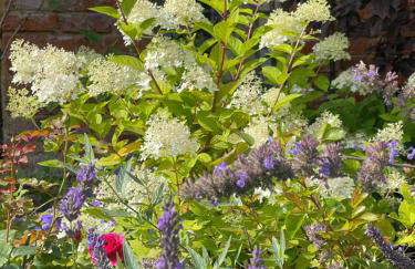 The Coach House - Foto 46