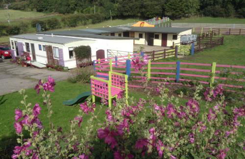 Glan Llyn Farm House - Foto 72