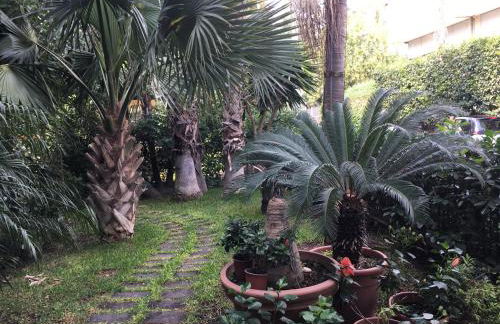 Terrazza Pavone - Foto 4