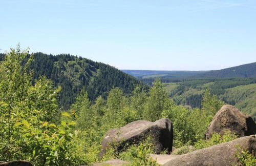 Cosy Holiday Home in the Harz Region - Foto 118