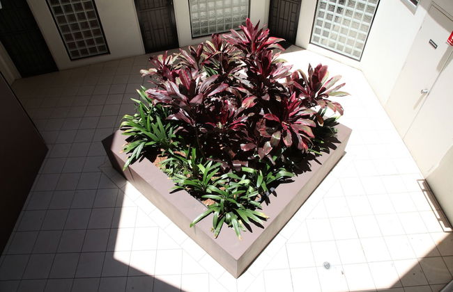 Newtown Mews - Photo 2