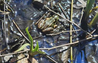 Le fournil à Mïette - Foto 53