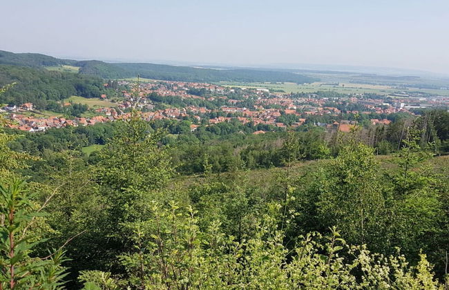 Holiday Home in the Large Garden - Foto 20