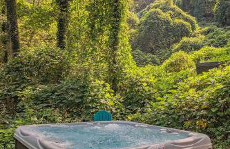 Tiny Cabin Village Private Hot Tub Lynda Cabin - Foto 23