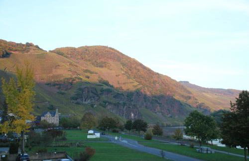 moselferienwohnungen-uerzig - Foto 18