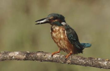 Refugios Del Valle Negro - Foto 59
