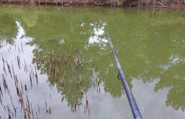 Agroturystyka Leśna Malinka - Foto 14