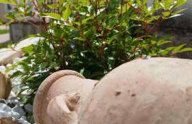 Villa "Pied-à-terre" Residence & Spa - Photo 20