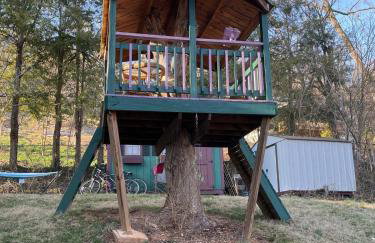 Private Green Cottage near downtown - Photo 23