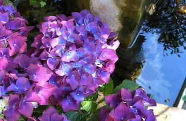 Into The Green Apartment - Foto 31