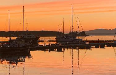 Tawny Owl Pod with Hot Tub - Foto 65