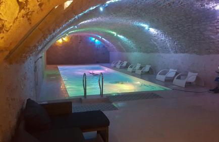 GITE LONGERE DE 15 PERSONNES AU CHATEAU DE JALLANGES VOUVRAY - Foto 16