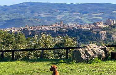 Agriturismo Affaccio su Orvieto - Foto 9