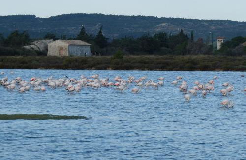 appartement de la callade - Foto 18