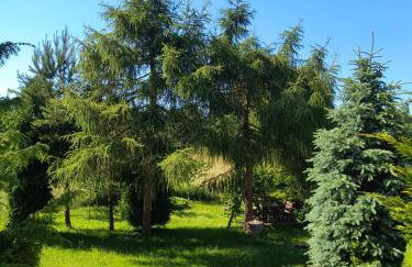 Dom z ogrodem na Mazurach - Foto 6