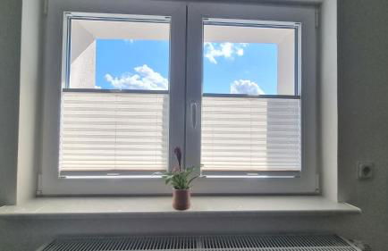 Unter der Linde - Foto 2