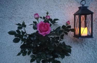 App Brunner - Photo 7