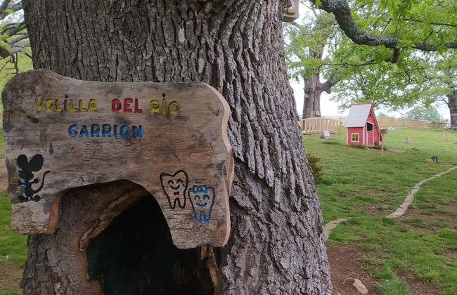 Entrada para la Ruta del Ratoncito Pérez - Foto 6