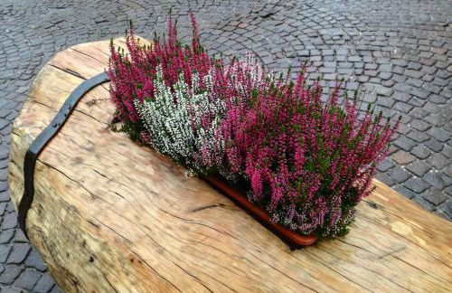 Marmot Apartment - Photo 29