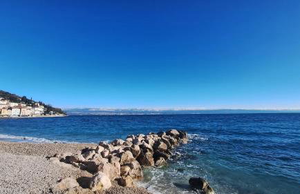 Apartments Blue & Green - Foto 58