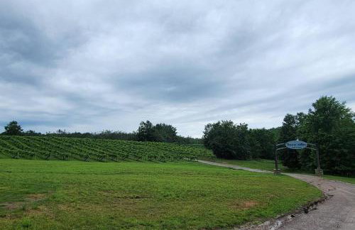 Private & Convenient-Hot tub-Fire Pit-Game room! - Photo 41