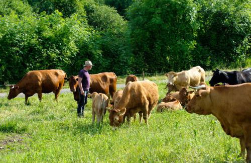 Nengshof - Haus Königskerze - Foto 14
