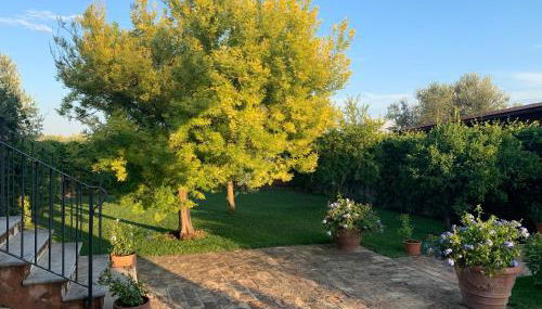 Appartamento Mimosa - Foto 3