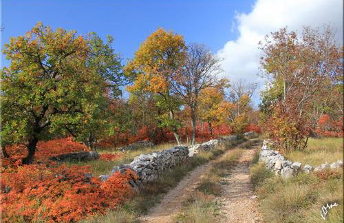 Casa Bianchera - Photo 17
