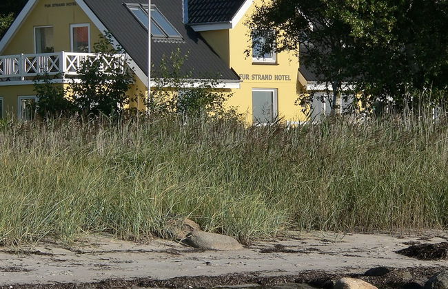 "Rina" - 30m to the fjord - Foto 31