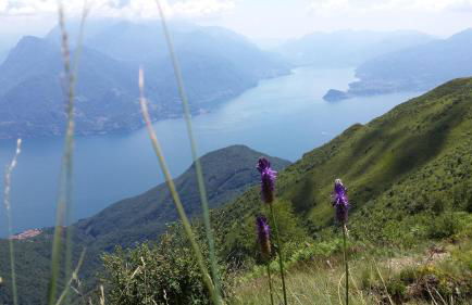 Lake Como View Apartement Allegro - Foto 25