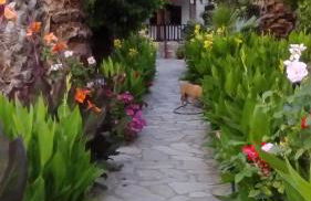 Menelaos Apartments - Foto 67