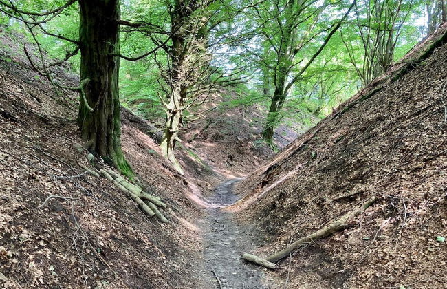 Seaside Serenity in Taysinge-by Traum - Foto 20