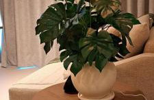 Parque do Cais - Flats Premium no Recife por Yolo - Foto 60