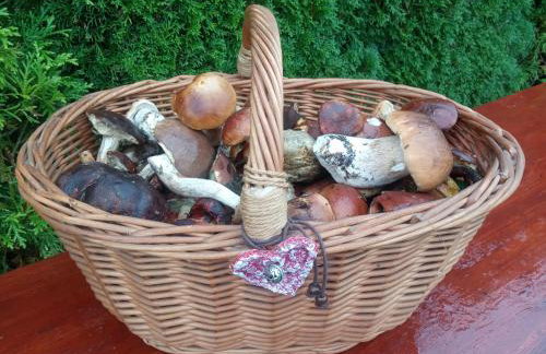 Dom w górach Przy szlaku - Foto 78