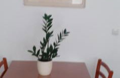 Apartment Calluna - Foto 17