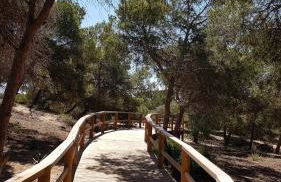 El Mirador de la Laguna - Foto 45