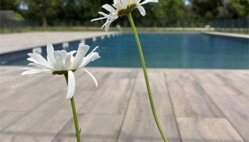 Rez de Jardin T3 recent et calme au Nouvelles Terres à La Londe les Maures - Foto 2