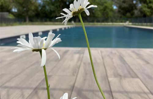 Rez de Jardin T3 recent et calme au Nouvelles Terres à La Londe les Maures - Foto 2