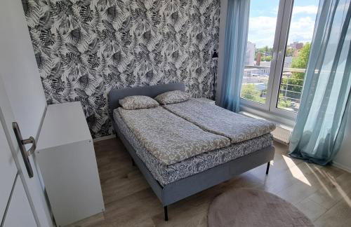 Apartament Skarbowa Sol - Foto 3