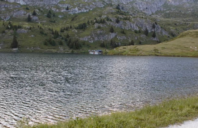 Bärgblüemli EG Süd - Foto 10