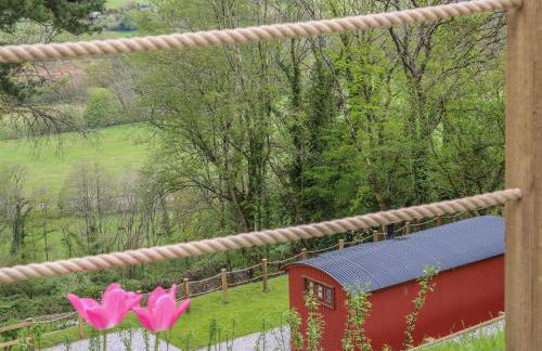 Little Silver Owl - Foto 27