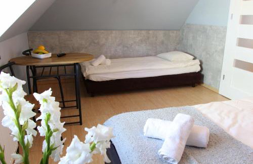 APART MAZURY Apartamenty na Mazurach - Foto 10