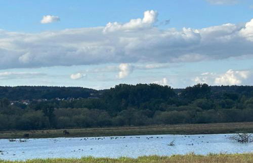 Ferien- & Monteurswohnung Krüger Werra Suhl Tal - Foto 14